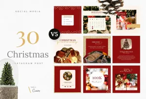 30 Christmas Instagram Post Canva Templates V5