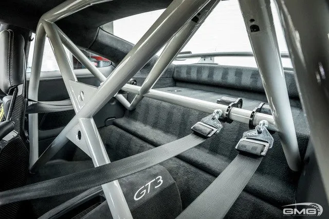 991 LMS Harness bar - Sunroof