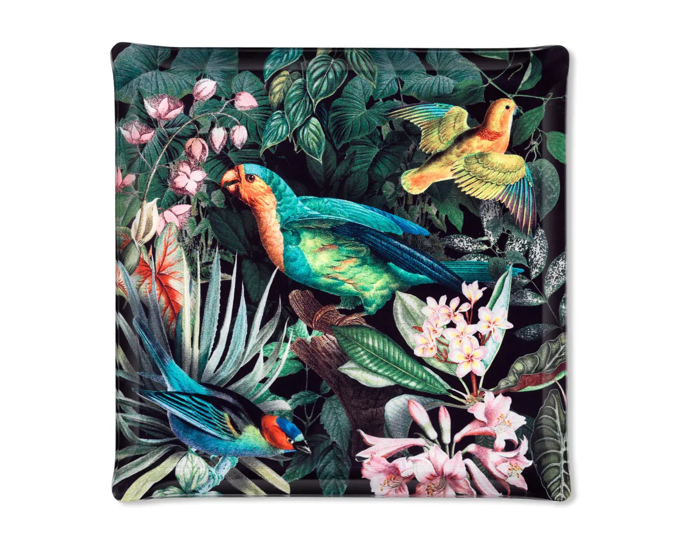 Acrylic Tray Papagayo