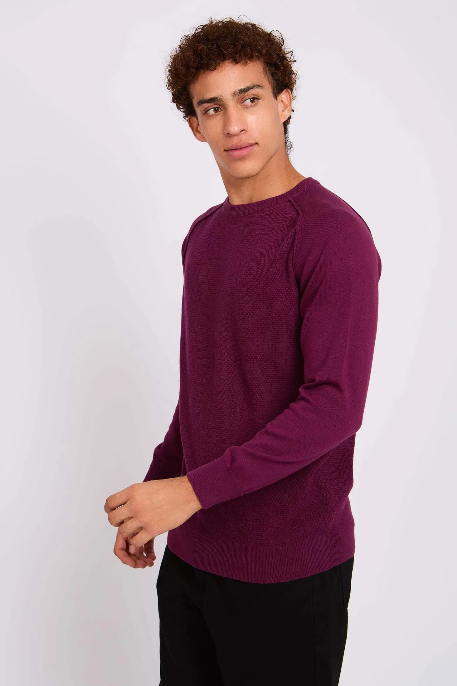 Men  Pullover Regular Fit  Red