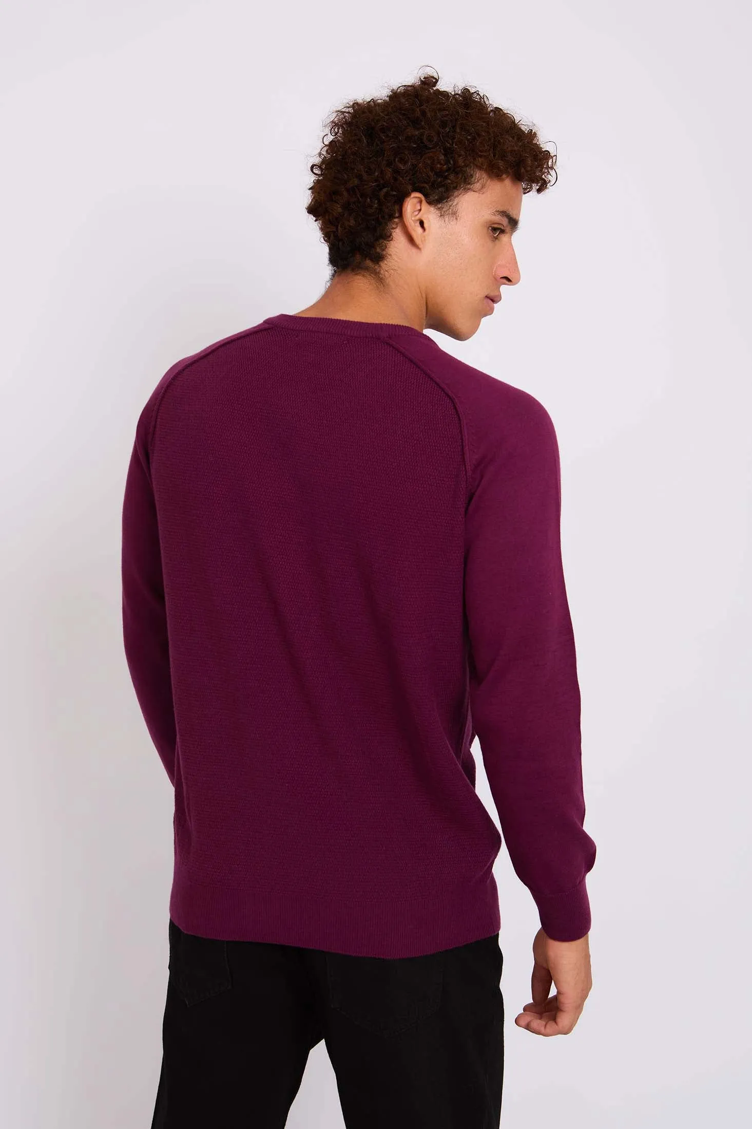 Men  Pullover Regular Fit  Red