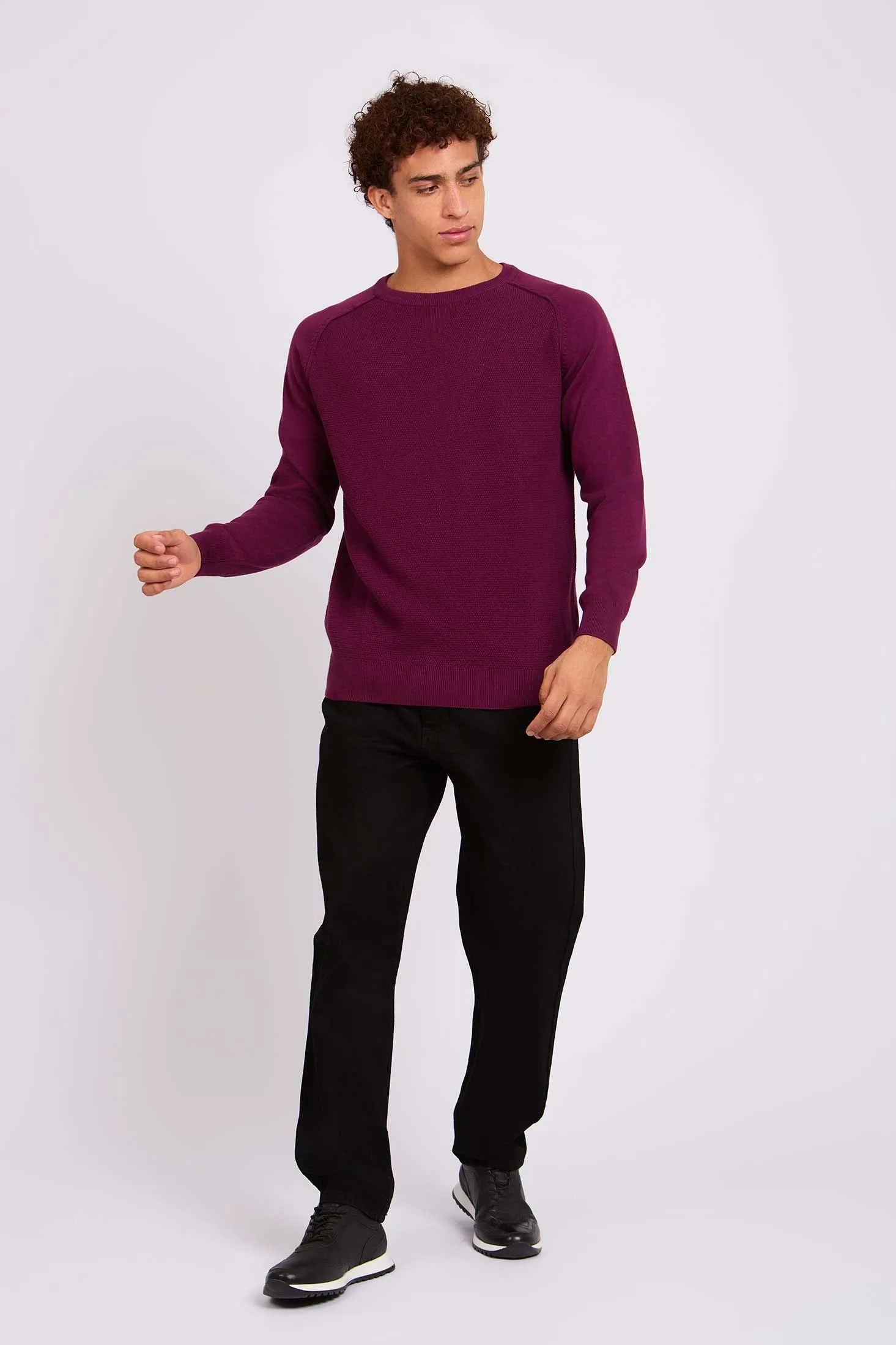 Men  Pullover Regular Fit  Red