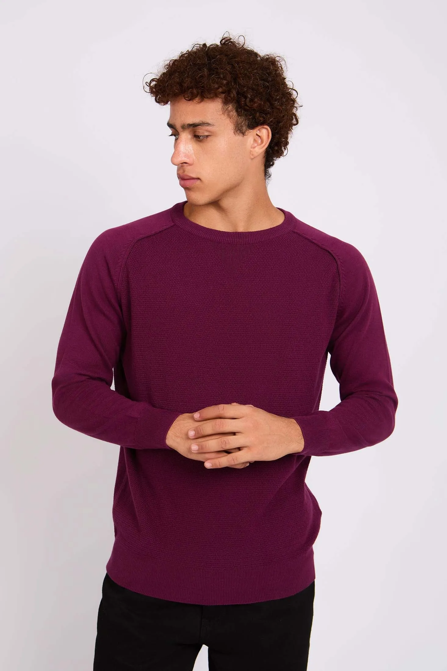 Men  Pullover Regular Fit  Red